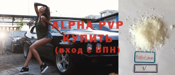 стаф Осташков