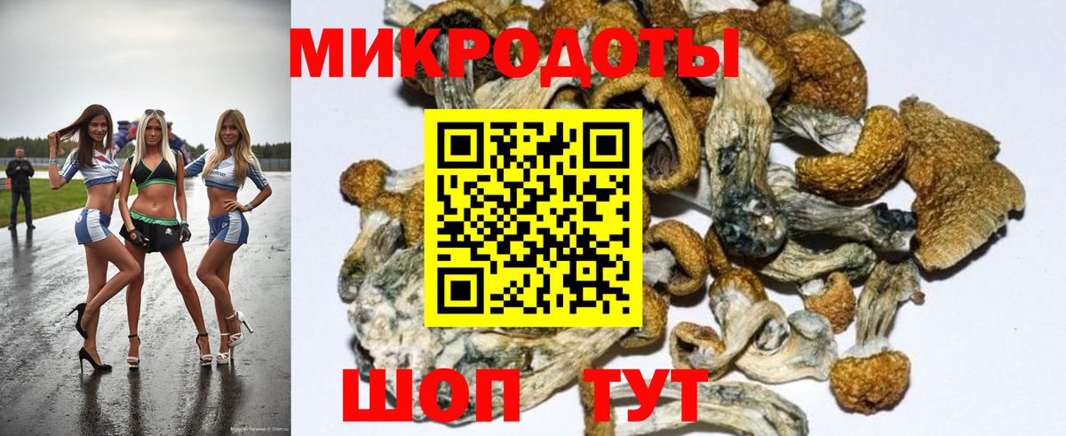 Псилоцибиновые грибы ЛСД Богданович