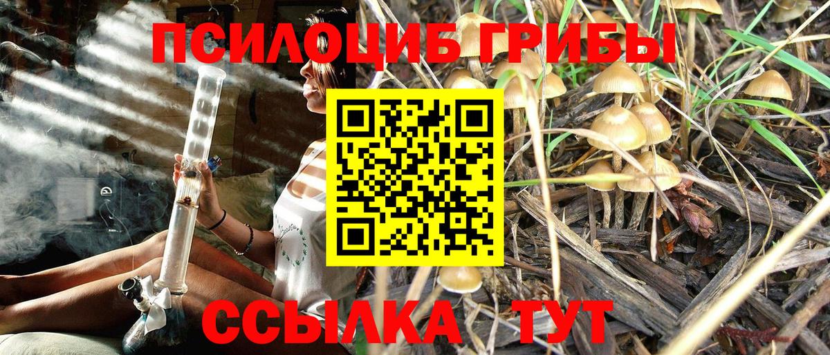 Галлюциногенные грибы Psilocybe  Вход с VPN  Галлюциногенные грибы MAGIC MUSHROOMS  Богданович 