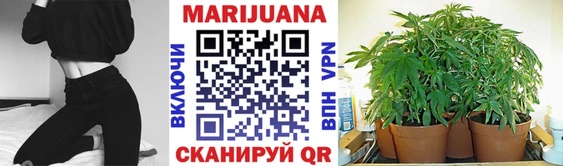 где купить наркоту Богданович МАРИХУАНА гибрид